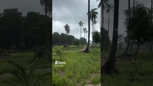 Я в шоке такой Камбоджи🤦почему_…. Этот выпуск выйдет только через неделю! смотреть онлайн