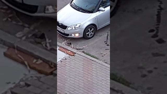 Средь бела дня исчезает тротуарная плитка смотреть онлайн