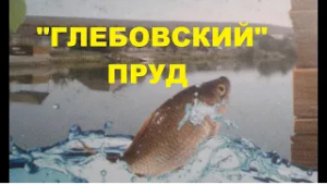 Глебовский пруд. Рыбалка в Ставропольском крае