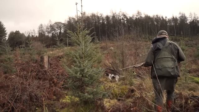 Тактика охоты на УШАСТОГО! Охота на зайца! смотреть онлайн