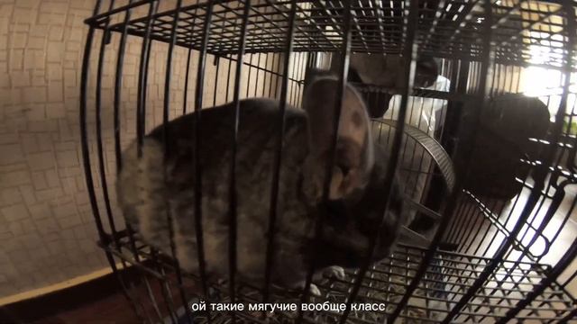 Мотель «Евразия» в Нижнем Новгороде. смотреть онлайн