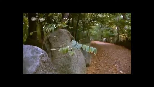 Deutsche Geschichte 5) Die Karolinger - I) Karl D Gr & Die Sachsen II (Mit Kreuz & Schwert)