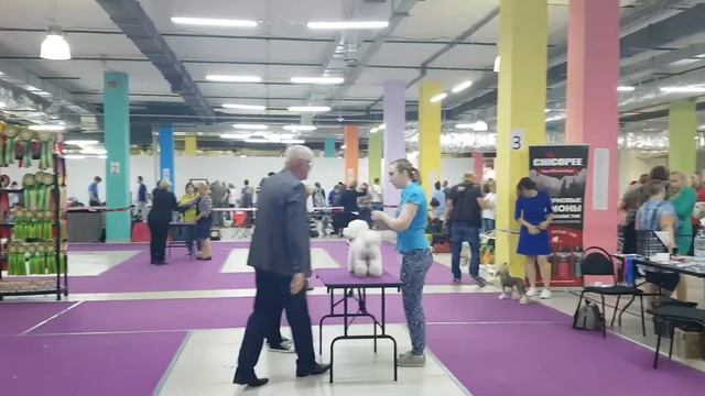 ЧРКФ в Москве 22.07.2018 г. смотреть онлайн