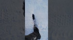 Пучинистый грунт