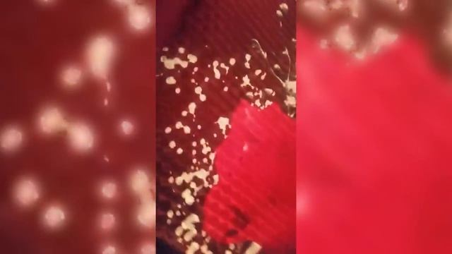 Шелковое покрывало "Эйфория" 3D смотреть онлайн