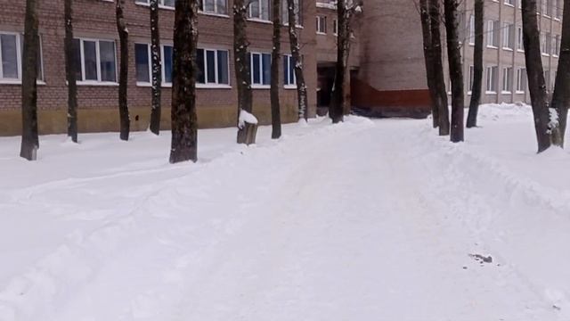 зимняя тополиная роща смотреть онлайн