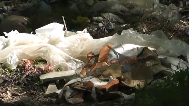 Мусор в лесу Набрани смотреть онлайн