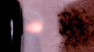 Как отличить шерсть от синтетики, как горит натуральная шерсть