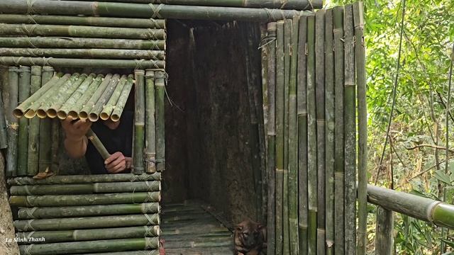 Full Video: 30 Days Of Survival Build Shelter, Find Food In The Wild, Survive In The Forest.