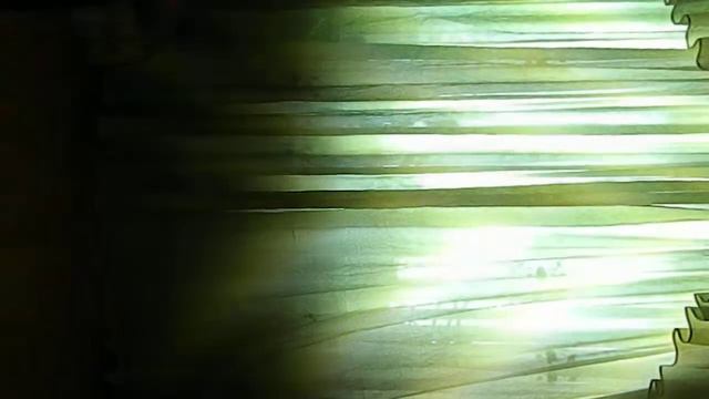 Полёт птицы в небе