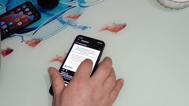 На чужой кухне. Почему не живём в палатке после землетрясения.Помощь от подписчиков.Посылка из Бурс смотреть онлайн