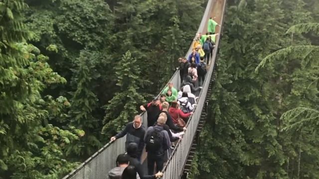 Trip to Capilano Bridge Canada смотреть онлайн