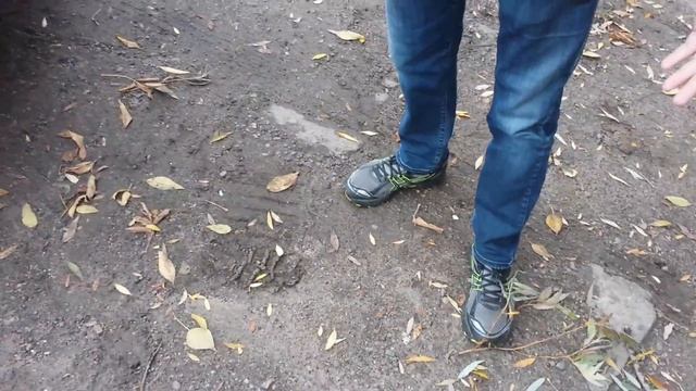 штраф 2 по 5 на ул.Дорожная 60б смотреть онлайн