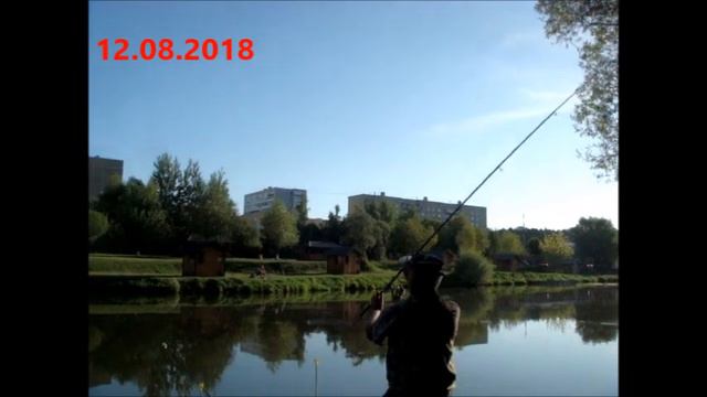 Белый карп. Лето 2018 года смотреть онлайн
