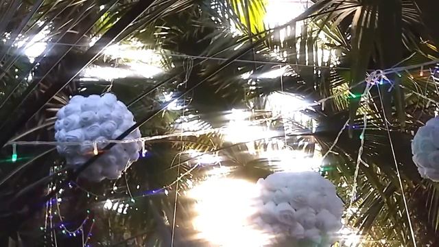 VLOG || БОТАНИЧЕСКИЙ САД смотреть онлайн