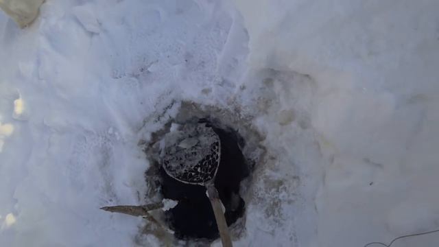 рыбалка ельца на таежной речке смотреть онлайн