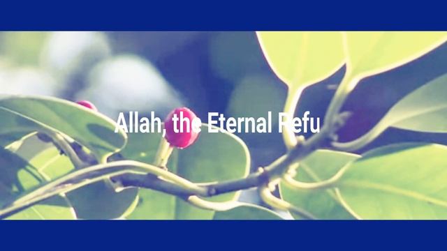Best Heart Touching Surat Al-Masad 2018 смотреть онлайн
