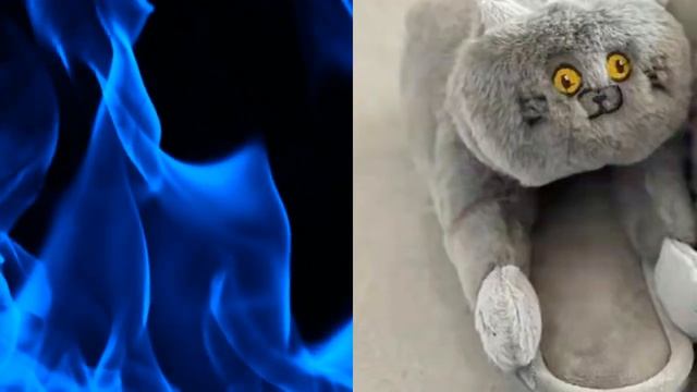 Что можно подарить? Домашние тапочки. смотреть онлайн
