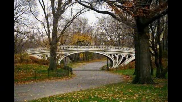 Central Park - Central Park Zoo - Central Park Map facts mall history restaurant смотреть онлайн