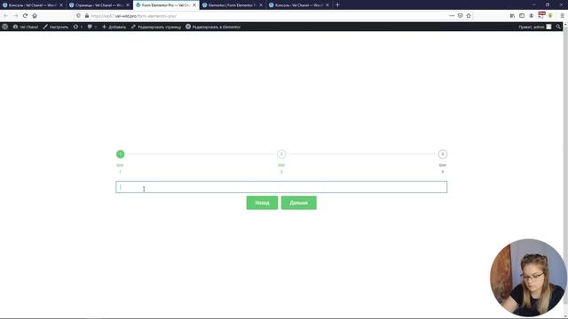 Возможности формы от Elementor. Большой обзор смотреть онлайн