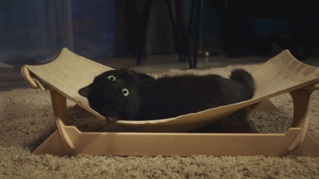 Відеоролик "Подано" для бренду Savory, 15 с смотреть онлайн