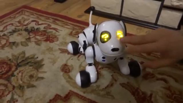 Собака робот