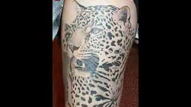 Leopard tattoo pictures смотреть онлайн