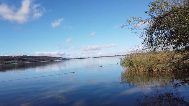 Будут ли новые видео и на что я живу // Отвечаю на Ваши вопросы смотреть онлайн