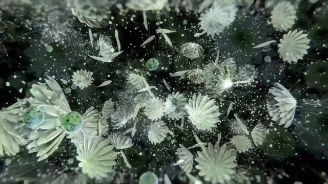 Dj Antonio & Ti - 9 Хризантем смотреть онлайн