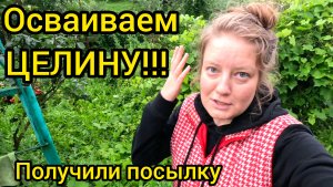 ОСВАИВАЕМ ЦЕЛИНУ!!! Получили посылку!! Наконец-то первые всходы