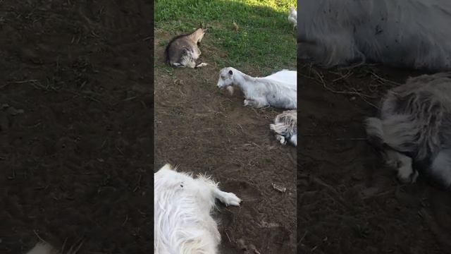 Клаве жарко 🥵 смотреть онлайн