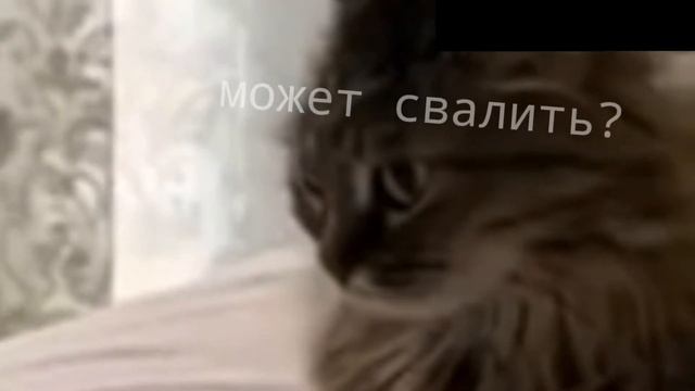 Мама отличника не дает собаке полежать на кровати смотреть онлайн