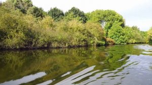 Правила стоянки у водоемов: Что нужно знать водителям? Каков размер штрафа?