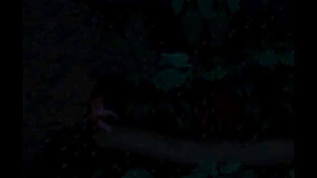 Reverse Gameplay - Donkey Kong Country (SNES) смотреть онлайн