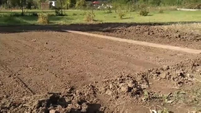 Nikada Nije Kasno Za Setvu Povrća. Evo šta Raste čak I Tokom Zime