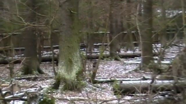 471. (3) команда Кубань. 18+ смотреть онлайн