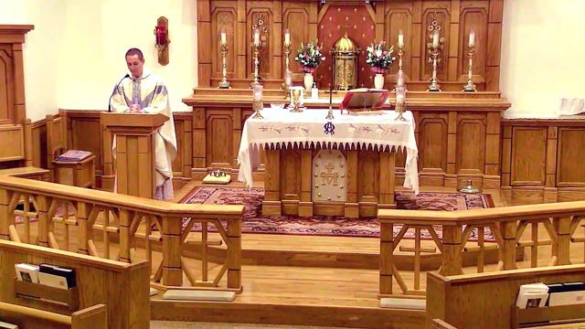 Witness to the Truth: 8th Commandment, Part 2 - Jul 26 - Homily - Fr Terrance смотреть онлайн