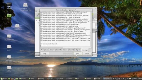 How to import database postgreSQL