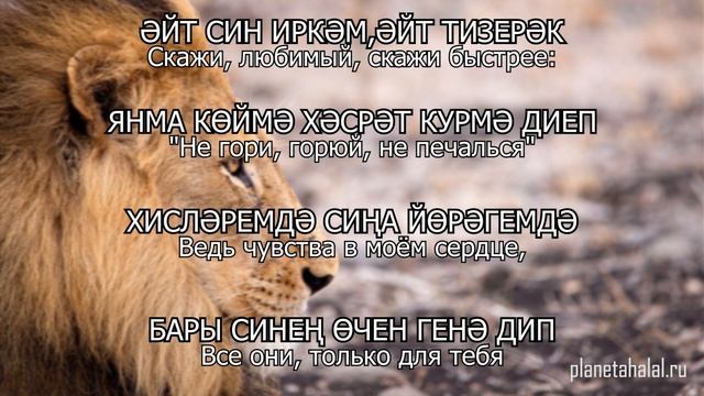 Сборник татарских песен I Татарские песни с переводом на русский I 5 часов музыки смотреть онлайн