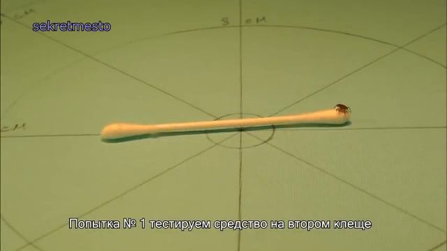 Уникальный ТЕСТ средства защиты от клещей смотреть онлайн