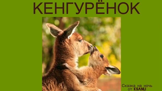 Сказка на ночь от Ksanli (68).... КЕНГУРЕНОК