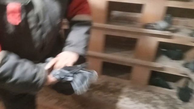 В.гостях.у.Вовона.с.Новая-Усмань.Воронежской.обл. смотреть онлайн