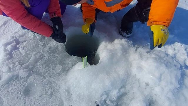 Крабалка - бывает и такое. #сахалин #природа #зима смотреть онлайн