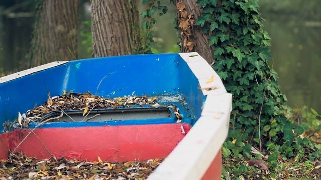 Filming Log with the Nikon D810 and Sigma 120-300mm f2.8 Sports Lens смотреть онлайн