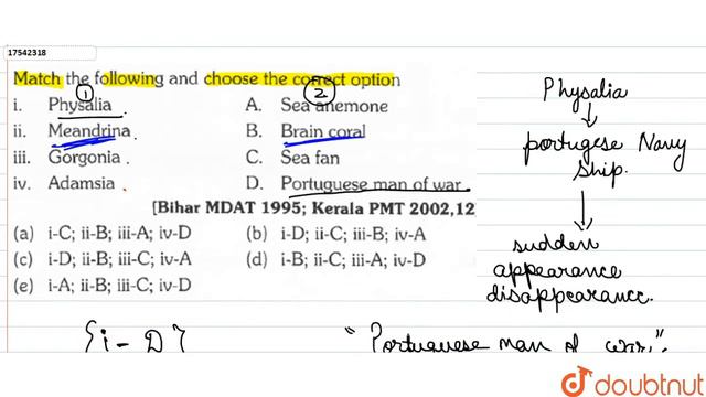 Match the following and choose the correct option{:((i)PhysaliaA. Sea anemone),((ii)Meandrina B.... смотреть онлайн