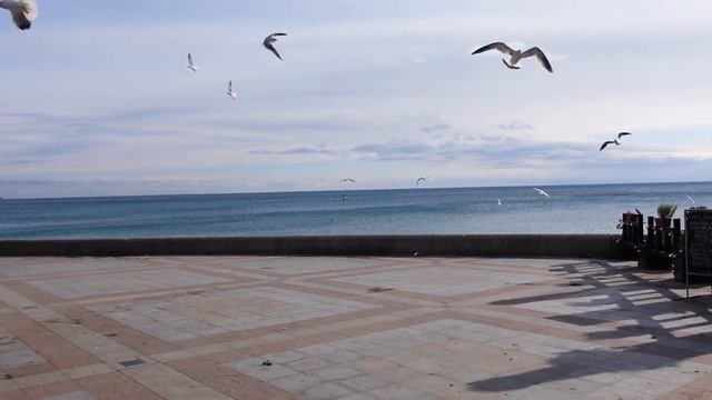 Крым Ялта: Крещенские купания в ЛЕДЯНОМ МОРЕ. Крым сегодня. Крещенские морозы в Крыму смотреть онлайн