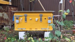 Обогрев пчёл в зиму