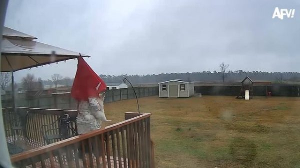 Подборка приколов (Cloudy with a Chance of Fails ☔️)