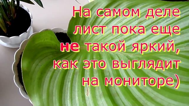 Что я натворила?! И не будет ли эта ошибка не поправимой?.. смотреть онлайн