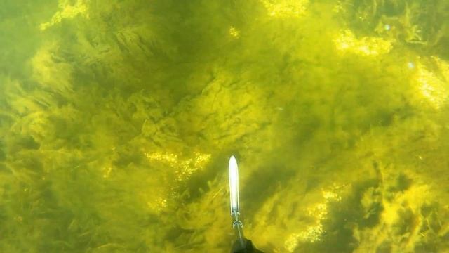 Подводная охота "Первые заморозки щуки и судаки на мели" смотреть онлайн